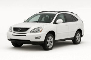 Lexus NX 300h Battery Replacement